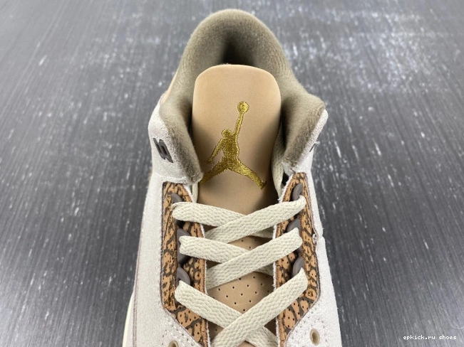 Rep CT8532-102 Palomino Jordan Air 3 0821
